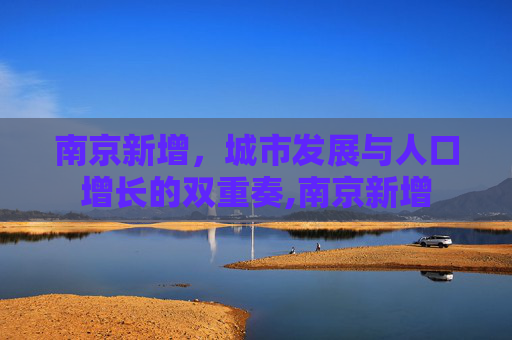 南京新增，城市发展与人口增长的双重奏,南京新增