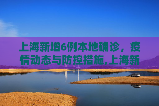 上海新增6例本地确诊，疫情动态与防控措施,上海新增6例本地确诊