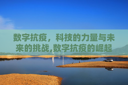 数字抗疫，科技的力量与未来的挑战,数字抗疫的崛起