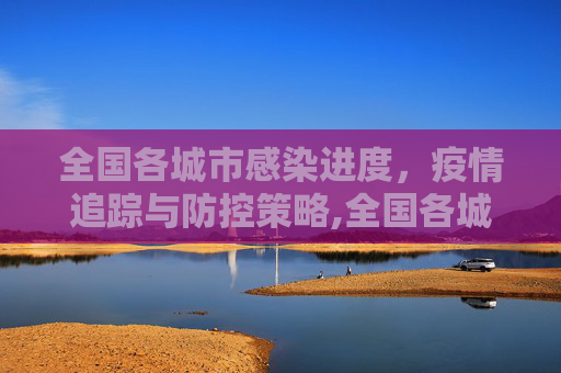 全国各城市感染进度，疫情追踪与防控策略,全国各城市感染进度