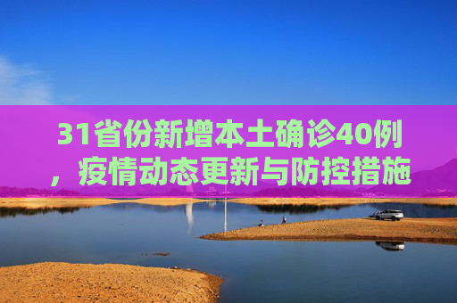 31省份新增本土确诊40例，疫情动态更新与防控措施,31省份新增本土确诊40例