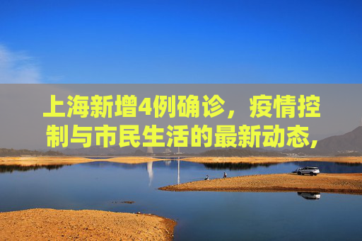 上海新增4例确诊，疫情控制与市民生活的最新动态,上海新增4例确诊