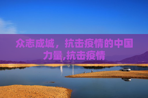 众志成城，抗击疫情的中国力量,抗击疫情