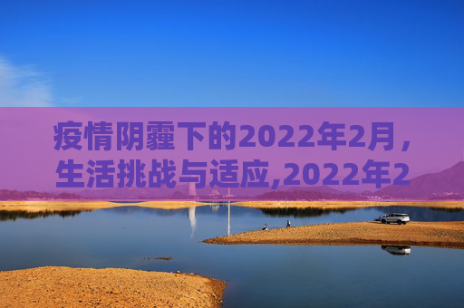 疫情阴霾下的2022年2月，生活挑战与适应,2022年2月疫情下的生活与挑战
