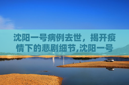 沈阳一号病例去世，揭开疫情下的悲剧细节,沈阳一号病例去世披露细节