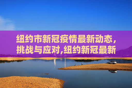 纽约市新冠疫情最新动态，挑战与应对,纽约新冠最新疫情