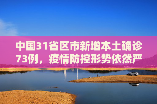中国31省区市新增本土确诊73例，疫情防控形势依然严峻,31省区市新增本土确诊73例