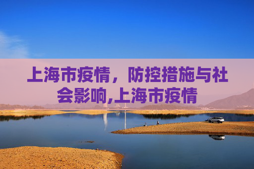 上海市疫情，防控措施与社会影响,上海市疫情