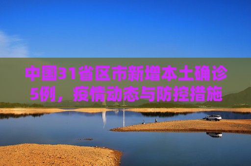 中国31省区市新增本土确诊5例，疫情动态与防控措施,31省区市新增本土确诊5例