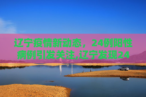 辽宁疫情新动态，24例阳性病例引发关注,辽宁发现24例阳性