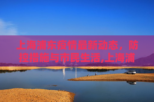 上海浦东疫情最新动态，防控措施与市民生活,上海浦东疫情最新消息