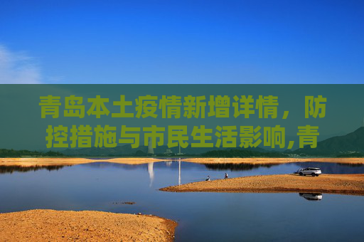青岛本土疫情新增详情，防控措施与市民生活影响,青岛新增本土详情