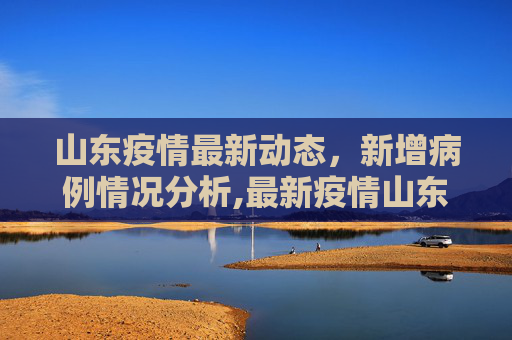 山东疫情最新动态，新增病例情况分析,最新疫情山东新增病历