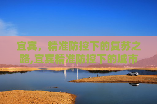 宜宾，精准防控下的复苏之路,宜宾精准防控下的城市复苏