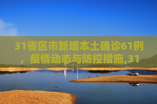 31省区市新增本土确诊61例，疫情动态与防控措施,31省区市新增本土确诊61例