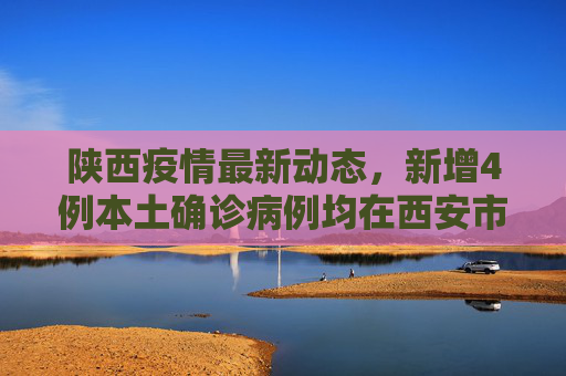 陕西疫情最新动态，新增4例本土确诊病例均在西安市,陕西新增4例本土确诊均在西安市