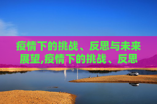 疫情下的挑战、反思与未来展望,疫情下的挑战、反思与未来展望