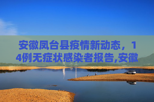 安徽凤台县疫情新动态，14例无症状感染者报告,安徽凤台报告14例无症状