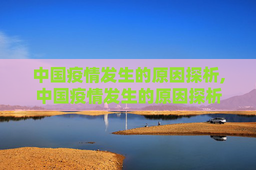 中国疫情发生的原因探析,中国疫情发生的原因探析