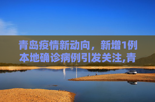 青岛疫情新动向，新增1例本地确诊病例引发关注,青岛新增1例本地确诊病例