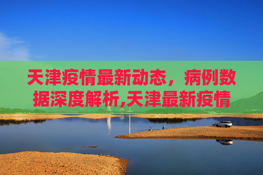 天津疫情最新动态，病例数据深度解析,天津最新疫情病例数据