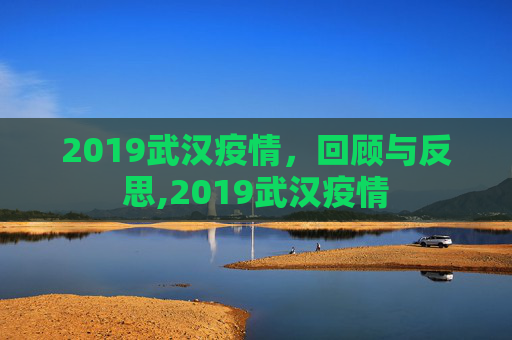 2019武汉疫情，回顾与反思,2019武汉疫情