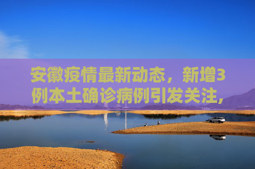 安徽疫情最新动态，新增3例本土确诊病例引发关注,安徽新增3例本土确诊病例
