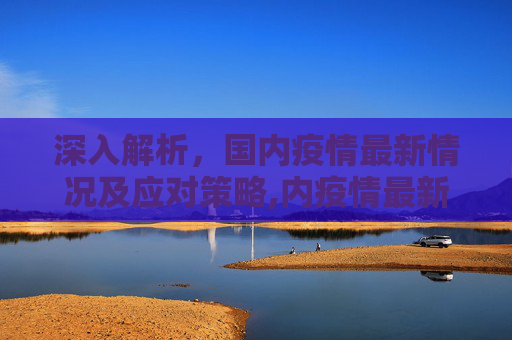 深入解析，国内疫情最新情况及应对策略,内疫情最新情况