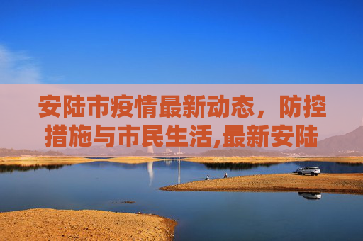 安陆市疫情最新动态，防控措施与市民生活,最新安陆疫情
