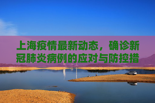 上海疫情最新动态，确诊新冠肺炎病例的应对与防控措施,上海确诊新冠肺炎最新消息