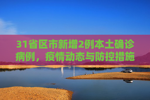 31省区市新增2例本土确诊病例，疫情动态与防控措施,31省区市新增2例本土确诊病例