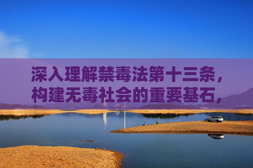 深入理解禁毒法第十三条，构建无毒社会的重要基石,禁毒法第十三条