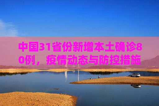 中国31省份新增本土确诊80例，疫情动态与防控措施,31省份增本土确诊80例