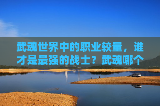 武魂世界中的职业较量，谁才是最强的战士？武魂哪个职业厉害