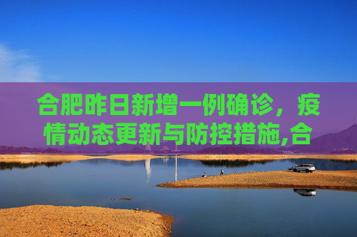 合肥昨日新增一例确诊，疫情动态更新与防控措施,合肥昨天确诊一例的简单介绍