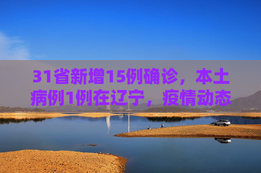 31省新增15例确诊，本土病例1例在辽宁，疫情动态与防控措施,31省新增15例确诊本土1例在辽宁