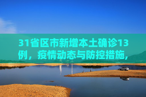 31省区市新增本土确诊13例，疫情动态与防控措施,31省区市新增本土确诊13例