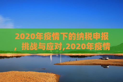 2020年疫情下的纳税申报，挑战与应对,2020年疫情下的纳税申报