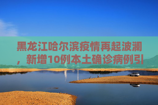 黑龙江哈尔滨疫情再起波澜，新增10例本土确诊病例引发关注,黑龙江哈尔滨新增10例本土确诊