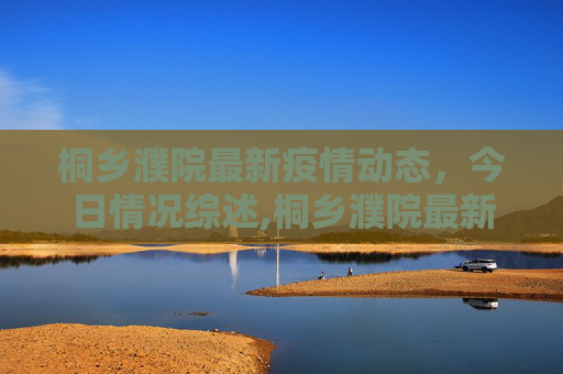 桐乡濮院最新疫情动态，今日情况综述,桐乡濮院最新疫情今天