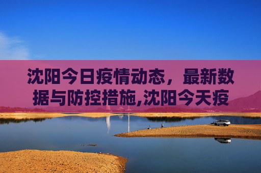 沈阳今日疫情动态，最新数据与防控措施,沈阳今天疫情最新