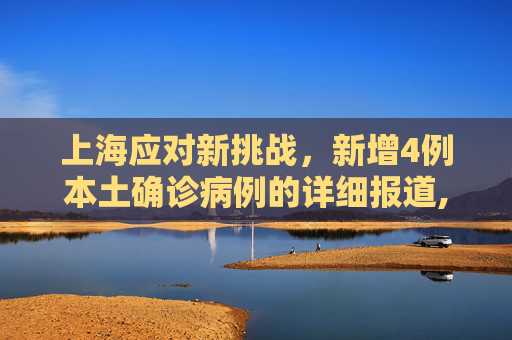 上海应对新挑战，新增4例本土确诊病例的详细报道,关于上海新增4例本土确诊病例的信息
