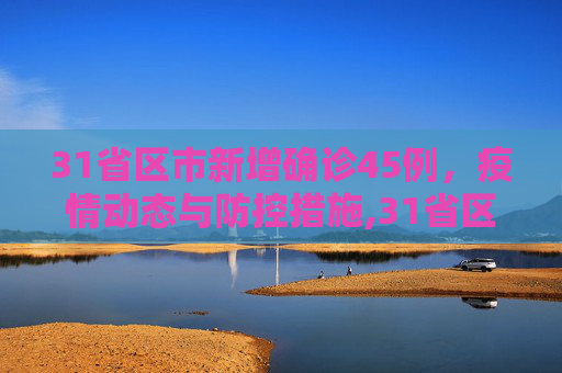 31省区市新增确诊45例，疫情动态与防控措施,31省区市新增确诊45例