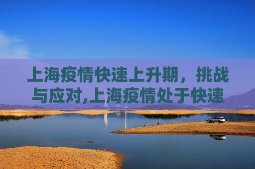 上海疫情快速上升期，挑战与应对,上海疫情处于快速上升期