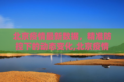 北京疫情最新数据，精准防控下的动态变化,北京疫情的最新数据