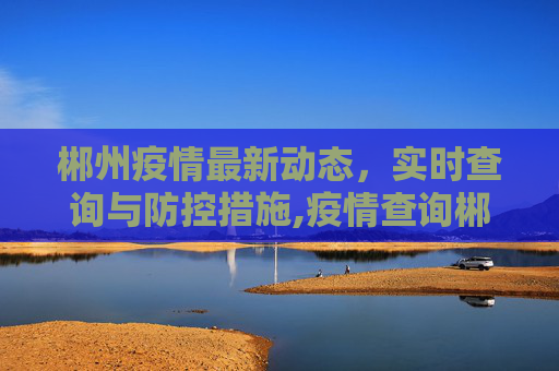 郴州疫情最新动态，实时查询与防控措施,疫情查询郴州最新