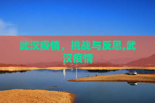 武汉疫情，挑战与反思,武汉疫情