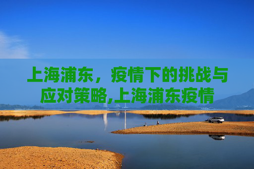 上海浦东，疫情下的挑战与应对策略,上海浦东疫情