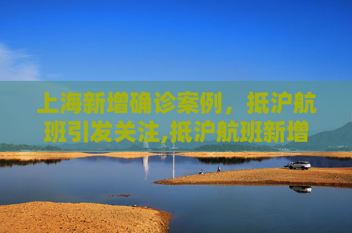 上海新增确诊案例，抵沪航班引发关注,抵沪航班新增确诊