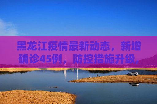 黑龙江疫情最新动态，新增确诊45例，防控措施升级,黑龙江新增确诊45例